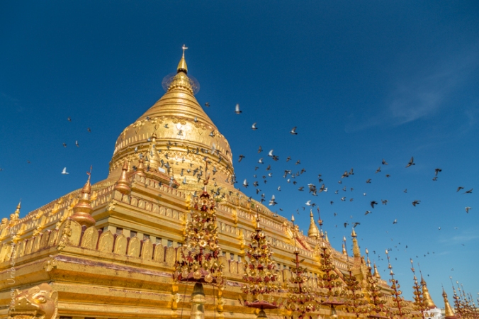 Myanmar_Bagan_Viaje_Asia_2014-2015_IMG_3877